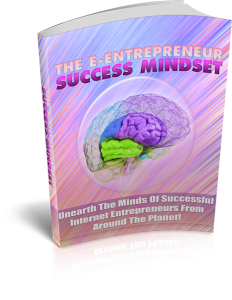Netrepreneur Success Mindset