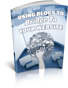Using Blogs To Bridge To Your Website